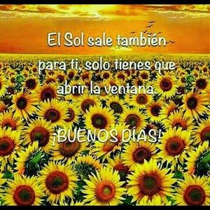 Meet your Posher, Edna